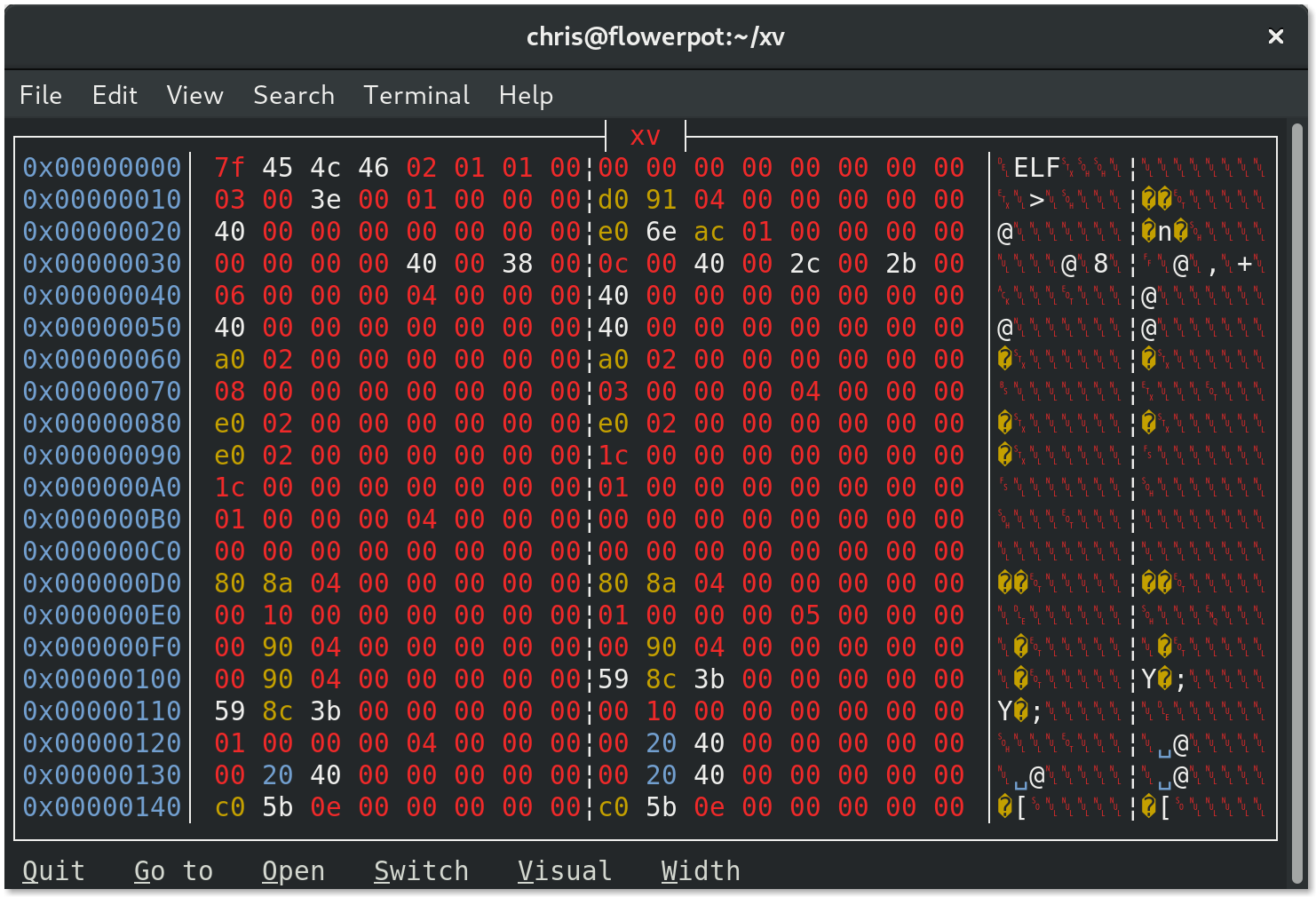 Screenshot showing the XV hex viewer in a terminal